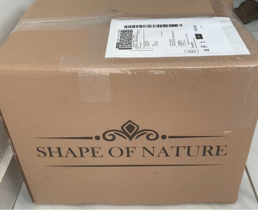 Caja de Nuez en Pedacería 25 KILOS – 3 Tamaños a tu Elección ✨