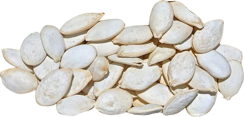 Semilla de Calabaza