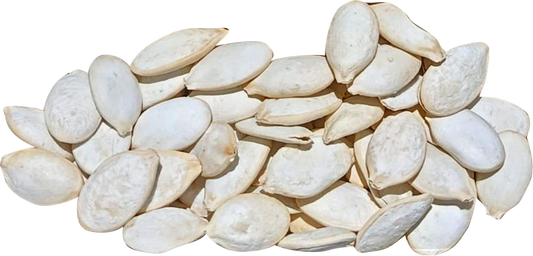 Semilla de Calabaza