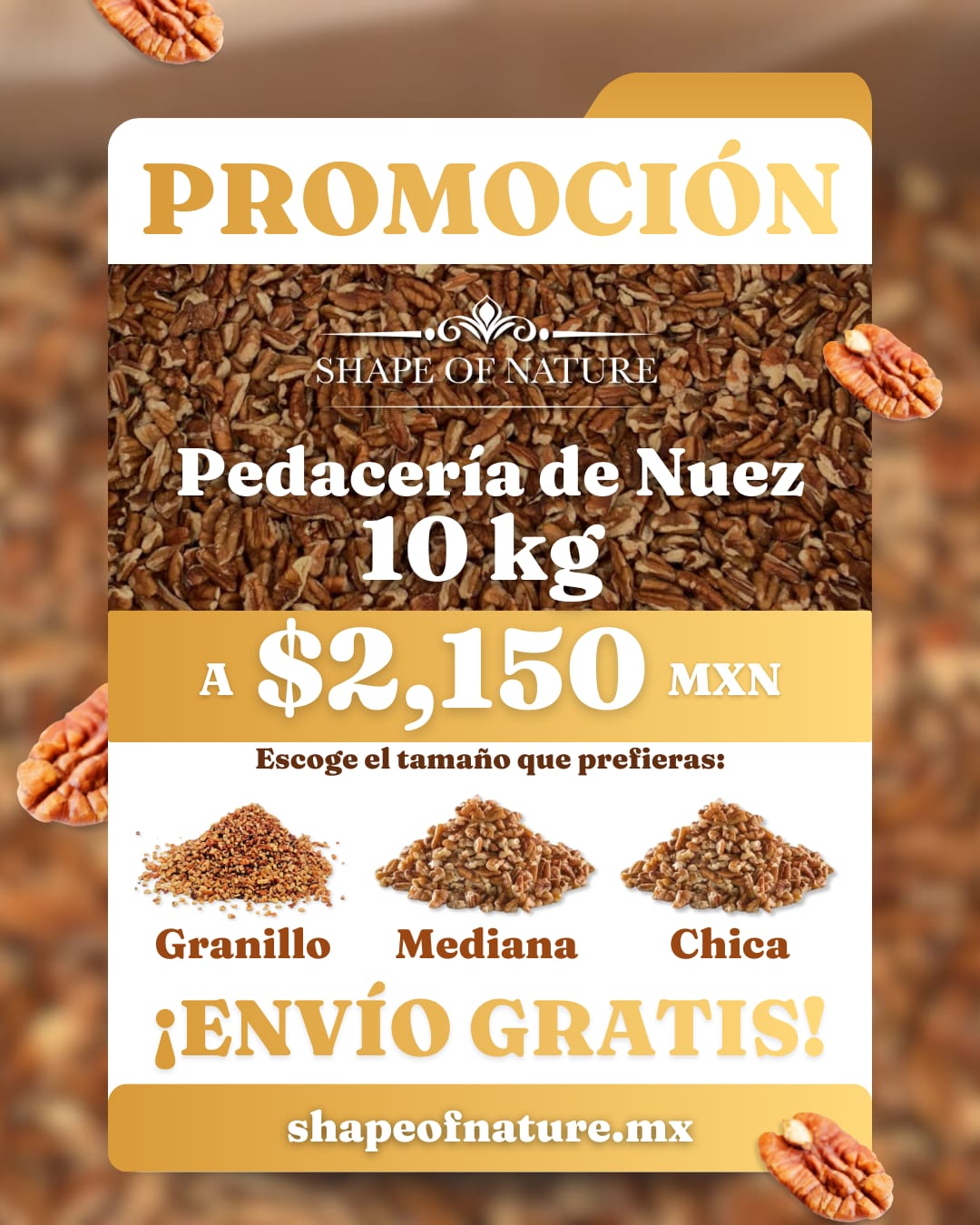 Caja de Nuez en Pedacería 10 KILOS – 3 Tamaños a tu Elección ✨